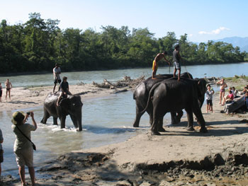 Chitwan National Park