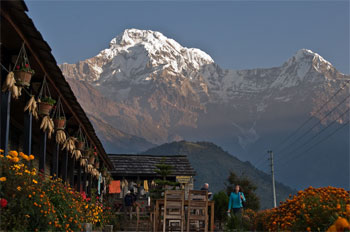 Ghandruk - Ghorepani Trek