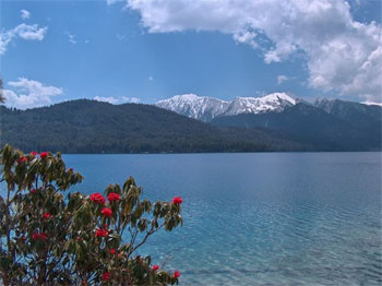 Rara Lake Trek